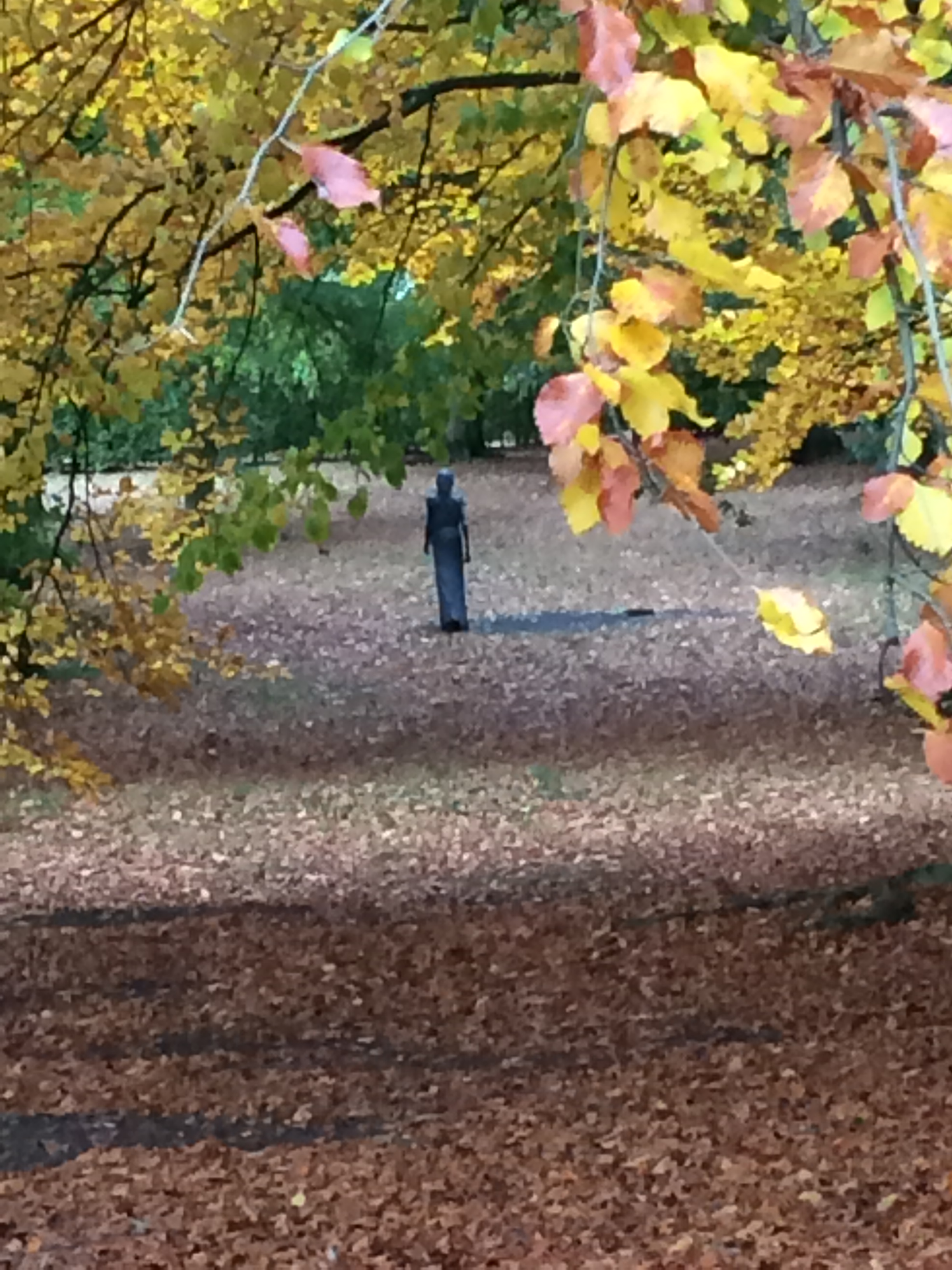 Featured image for “V mém věku? A co jako! Jak se naučit přijímat své možnosti bez výčitek”